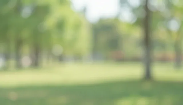 电商销售服务选型中的常见误区及应对建议